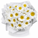 Букет из 25 крупной ромашки