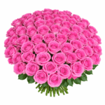 101 розовая роза