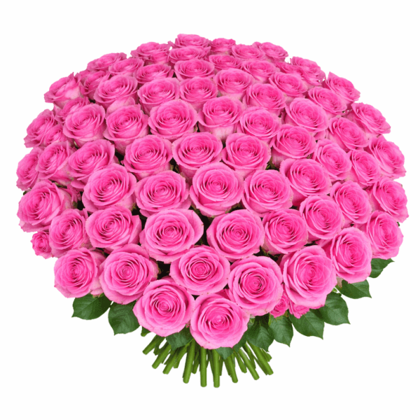 101 розовая роза