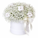 Гипсофила, Хлопок, Оазис, шляпная коробка