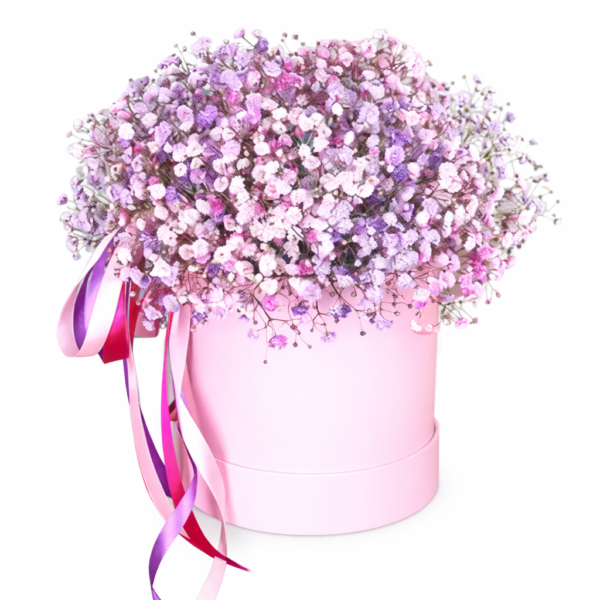 Радужная гипсофила, Оазис, шляпная коробка