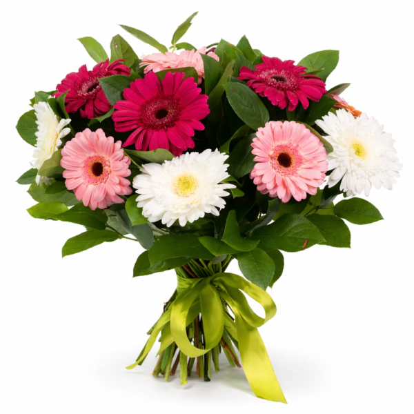 Букет из 15 шт герберы