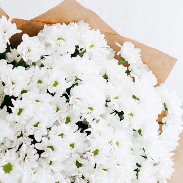 Ромашки Одесса