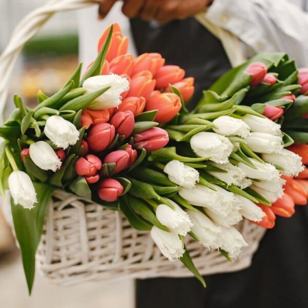 Ассортимент тюльпанов