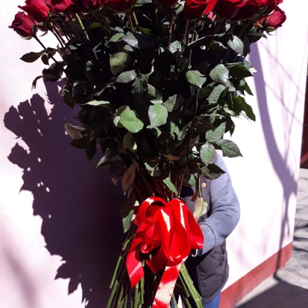 101 Элитная роза Explorer