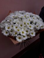 Белая хризантема 25 шт