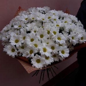 Белая хризантема 25 шт