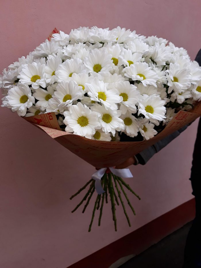 Белая хризантема 25 шт