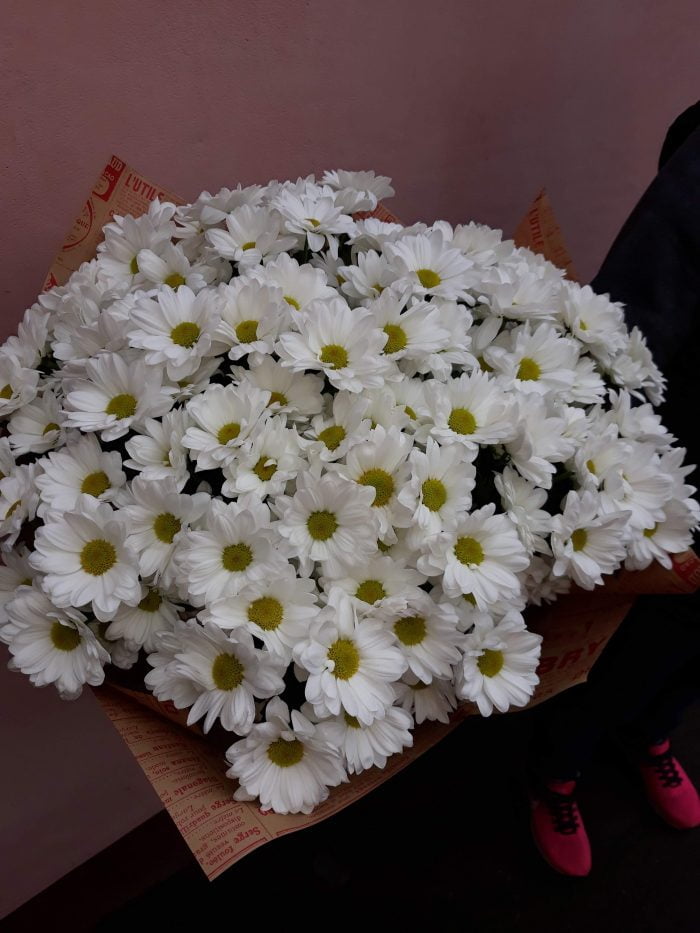 Белая хризантема 25 шт