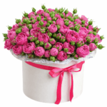 35 веток пионовидной розы