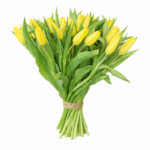 39 желтых тюльпанов