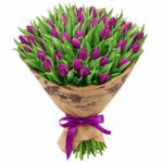 51 фиолетовый тюльпан