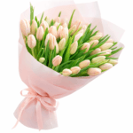 51 тюльпан розовый