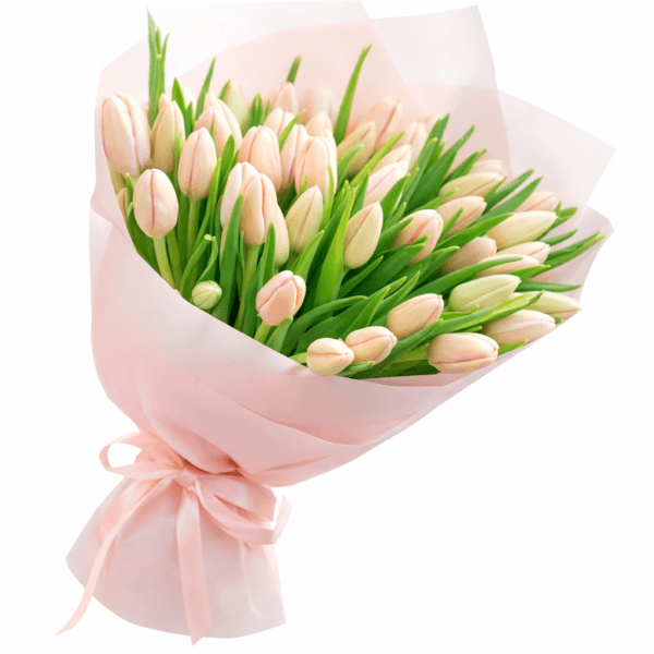 51 тюльпан розовый