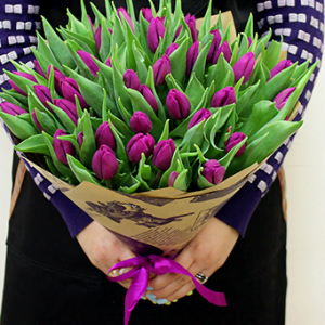 51 фиолетовый тюльпан