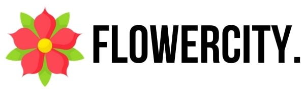 logo flowercity
