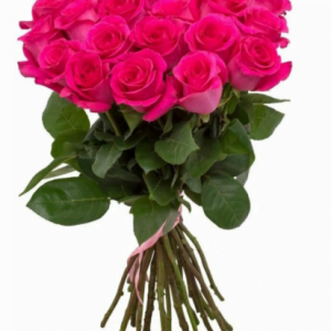 Розы Пинкфлойд 25 шт.