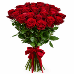 Розы красные Эксплорер 25 шт.