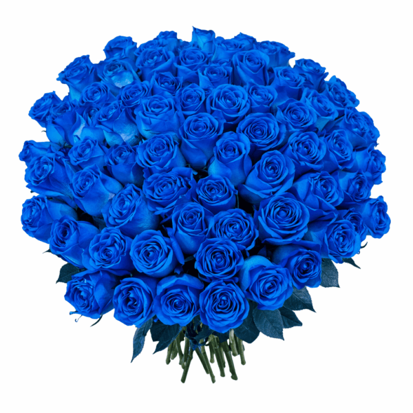 Синяя роза 51 шт