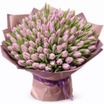101 лиловый тюльпан