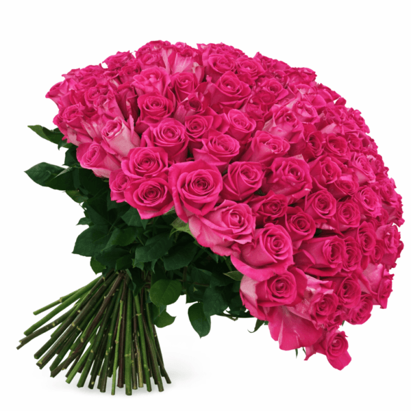 101 роза Эквадор Пинк флойд