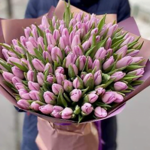101 лиловый тюльпан