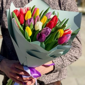 21 тюльпан микс