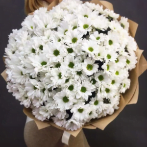 25 хризантем