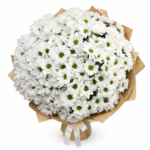 25 хризантем