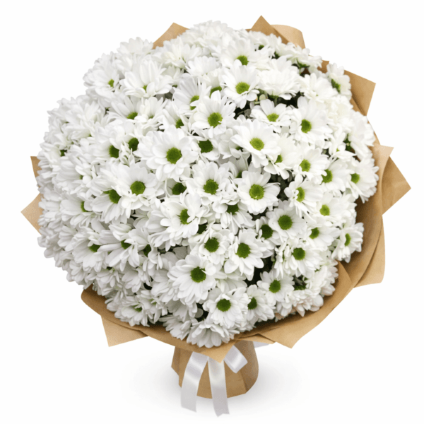 25 хризантем