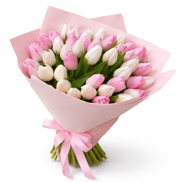 35 белых и розовых тюльпанов