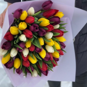 35 тюльпанов микс