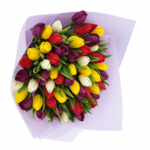 35 тюльпанов микс