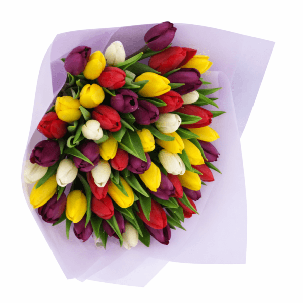 35 тюльпанов микс