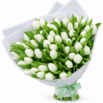 51 белый тюльпан