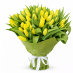 51 желтый тюльпан