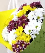 15 хризантем крупным планом