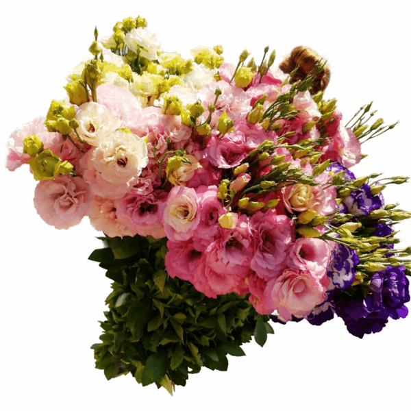 Букет из 121 ветки эустомы