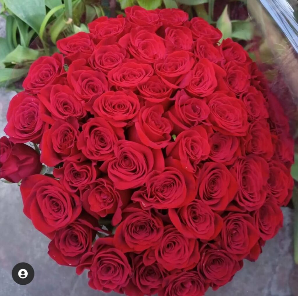 51 красная роза эквадор вид сверху