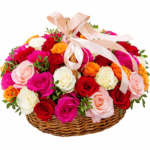 51 роза Эквадор яркий микс в корзине