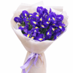 Ирисы 31 штука