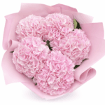 Розовая гортензия 5 штук