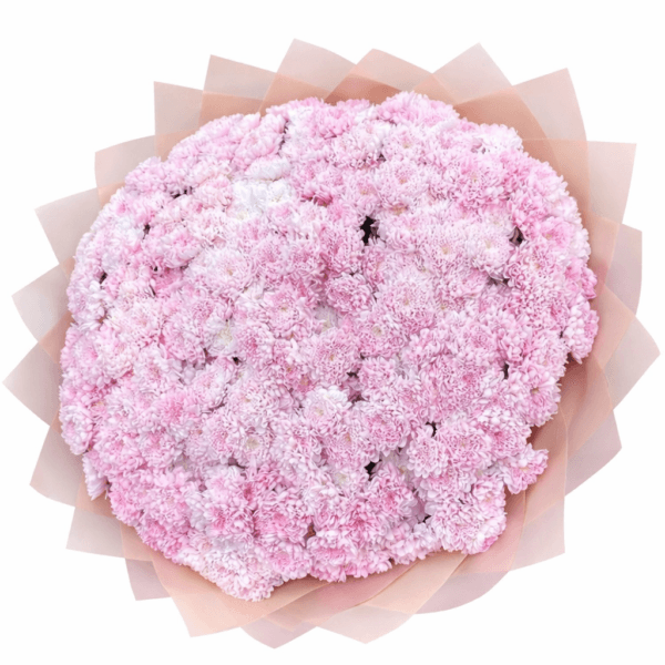 Розовая хризантема 51 шт