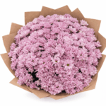 Розовая ромашка 25 веток