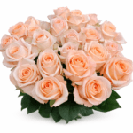 25 шт персиковых роз