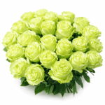 25 шт Зеленых роз