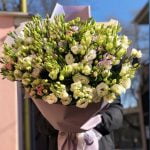 Эустома 151 ветка