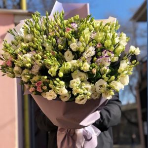 Эустома 151 ветка