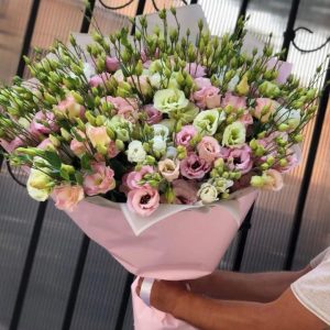 Эустома 101 ветка