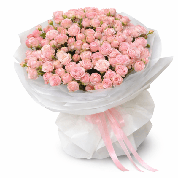 Пионы Бомбастик спрей 31 ветка